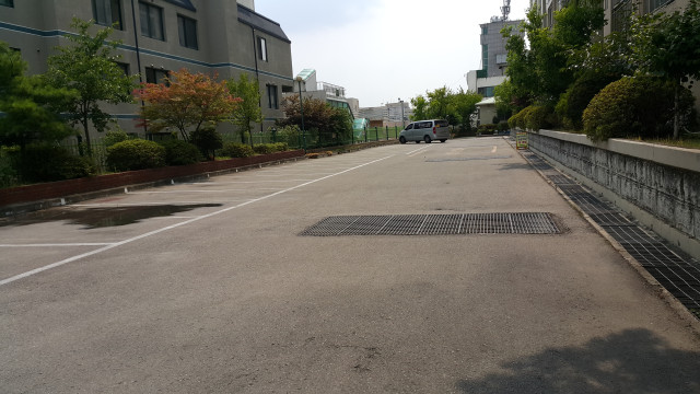 광영