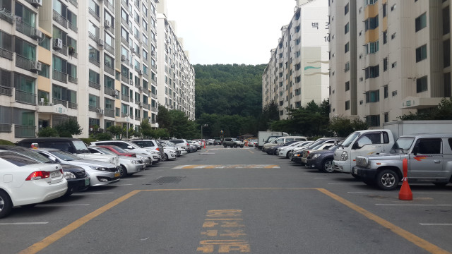 삼정백조