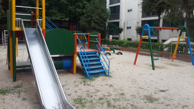 삼정백조
