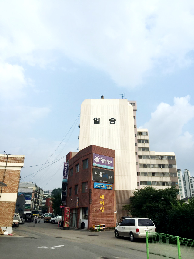 일송그린