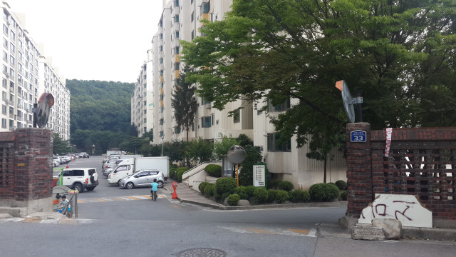 삼정백조