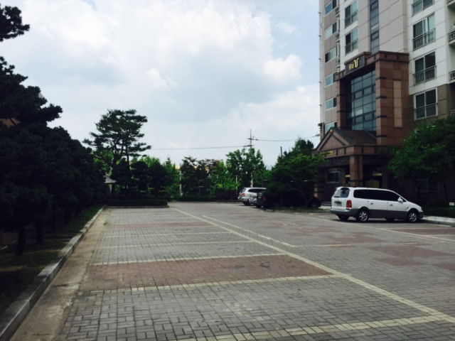 우림필유