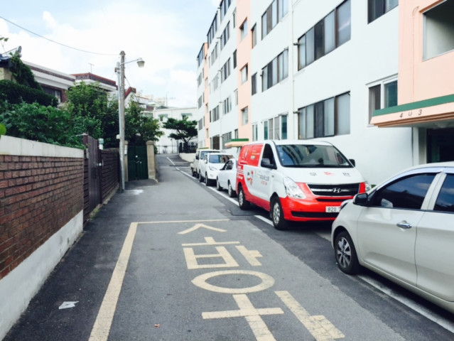 장미