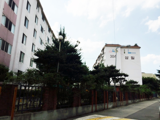 삼일