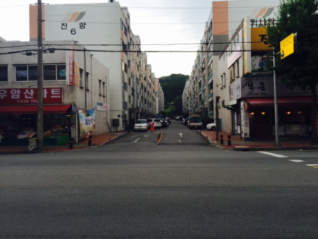 진양