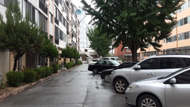 평화