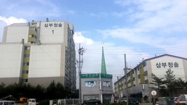 삼부청솔