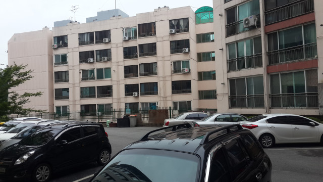 평화