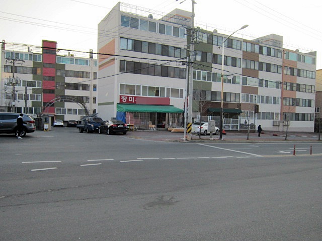 장미