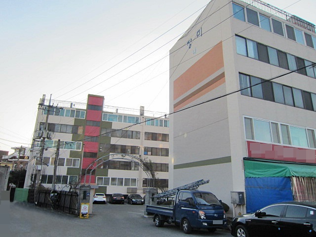 장미