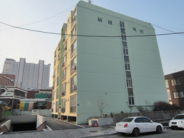 통경목련