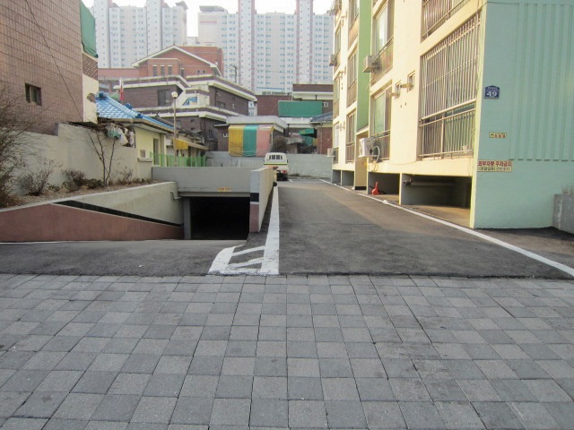 통경목련