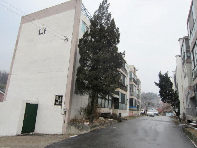 대성아파트