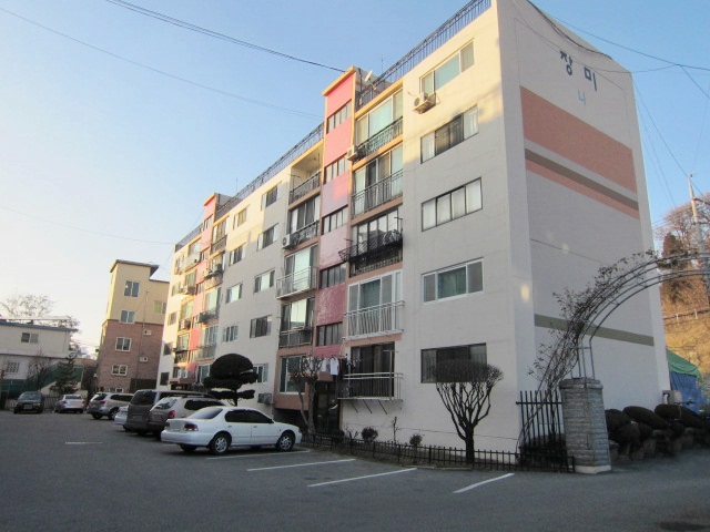 장미
