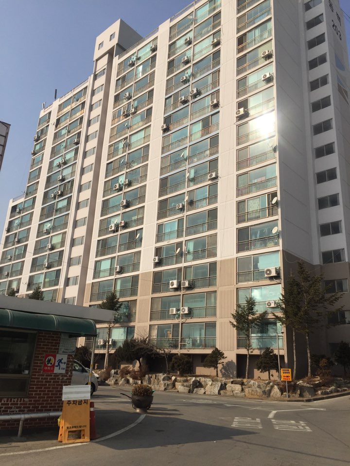 우주동백 2차