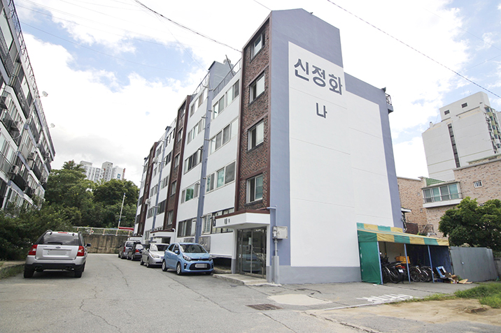 신정화