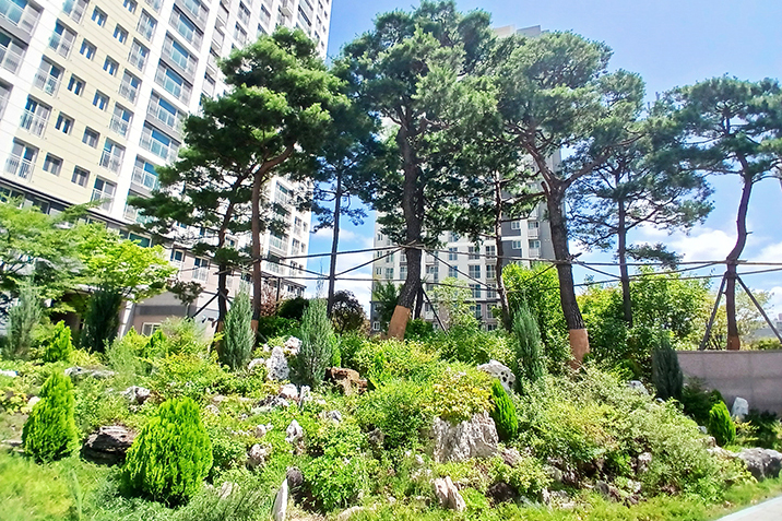 청주모충LH트릴로채