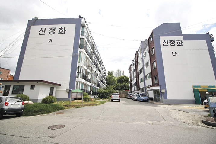 신정화