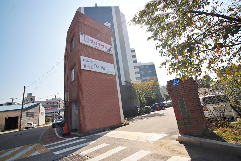 일송그린
