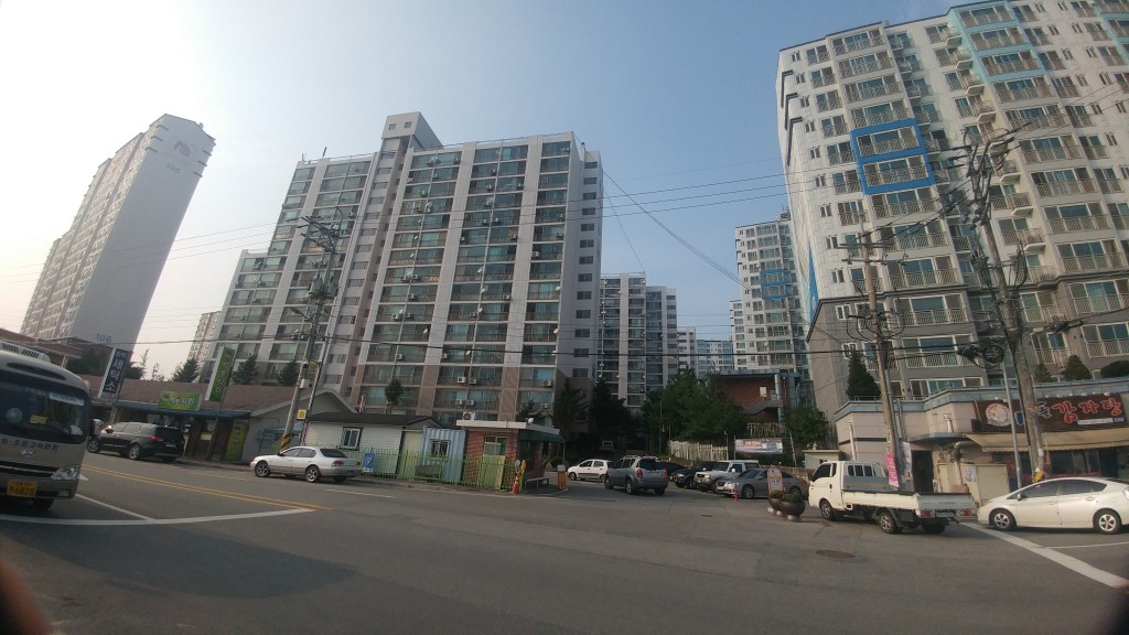 우주동백 2차