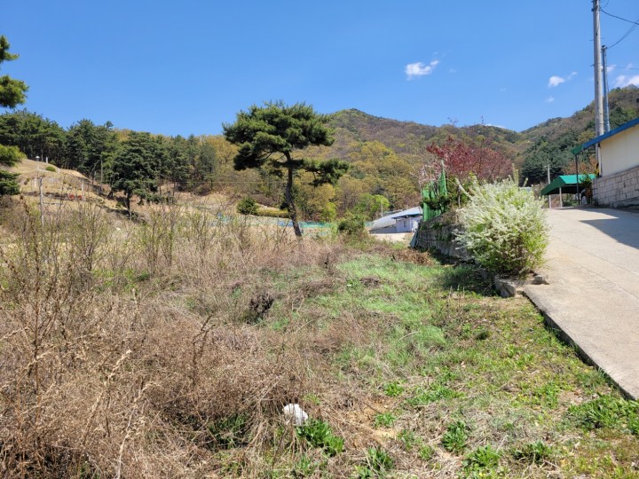 토지/임야 - 임야