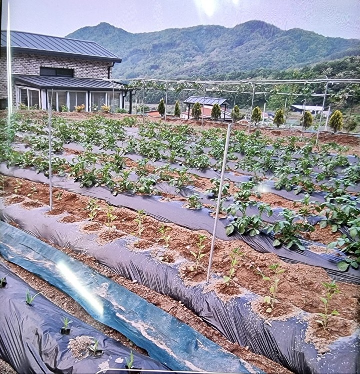 토지/임야 - 전