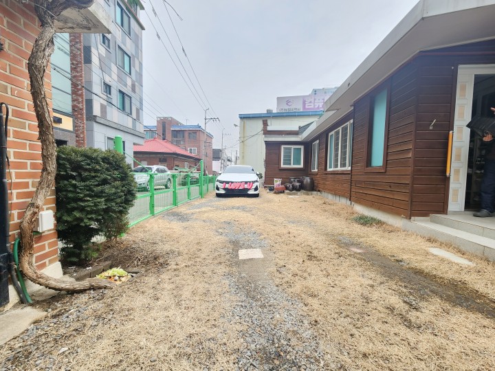 단독