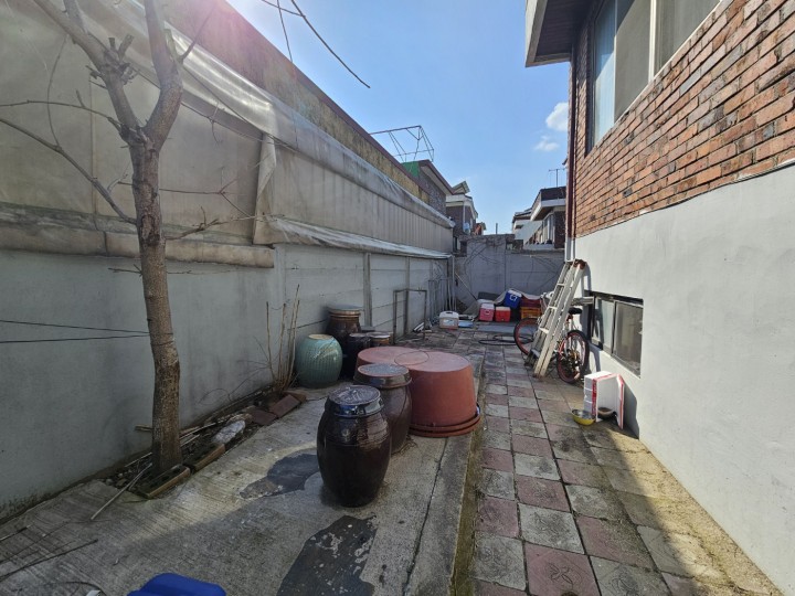 단독