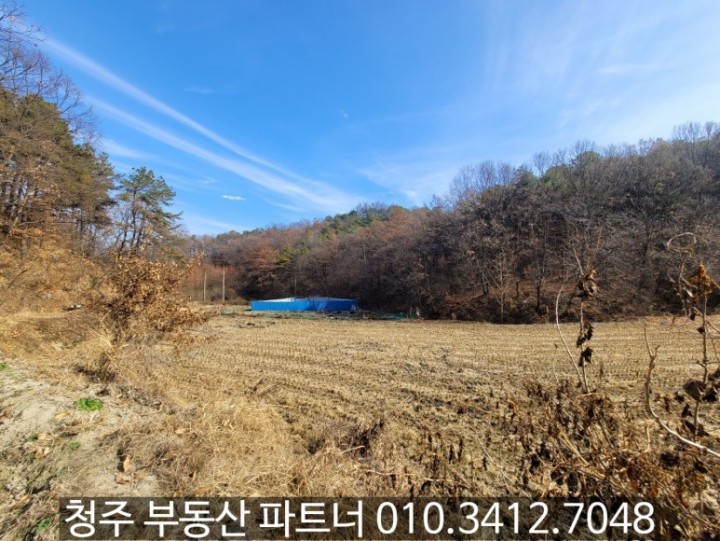 토지/임야 - 답