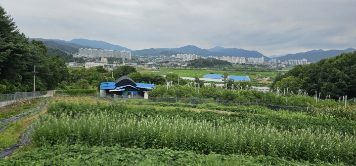 토지/임야 - 전
