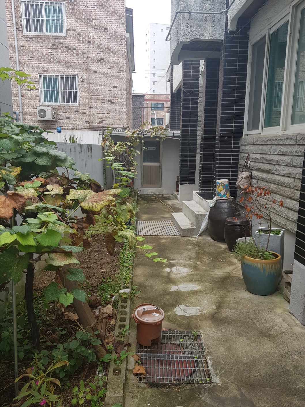 단독