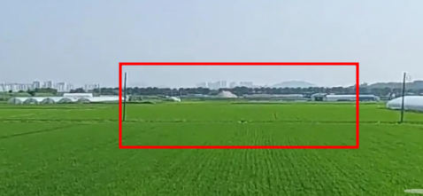 토지/임야 - 답