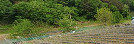 토지/임야 - 답