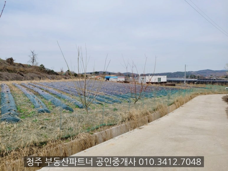 토지/임야 - 전