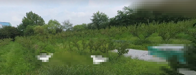 토지/임야 - 전