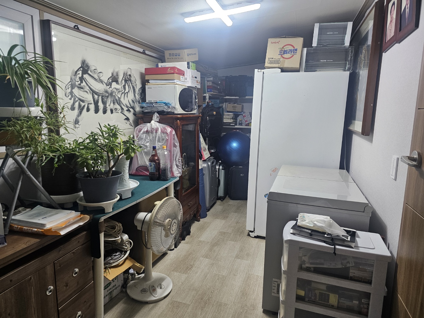단독