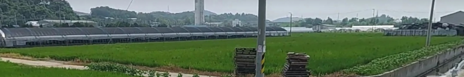 토지/임야 - 답
