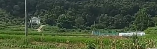 토지/임야 - 답