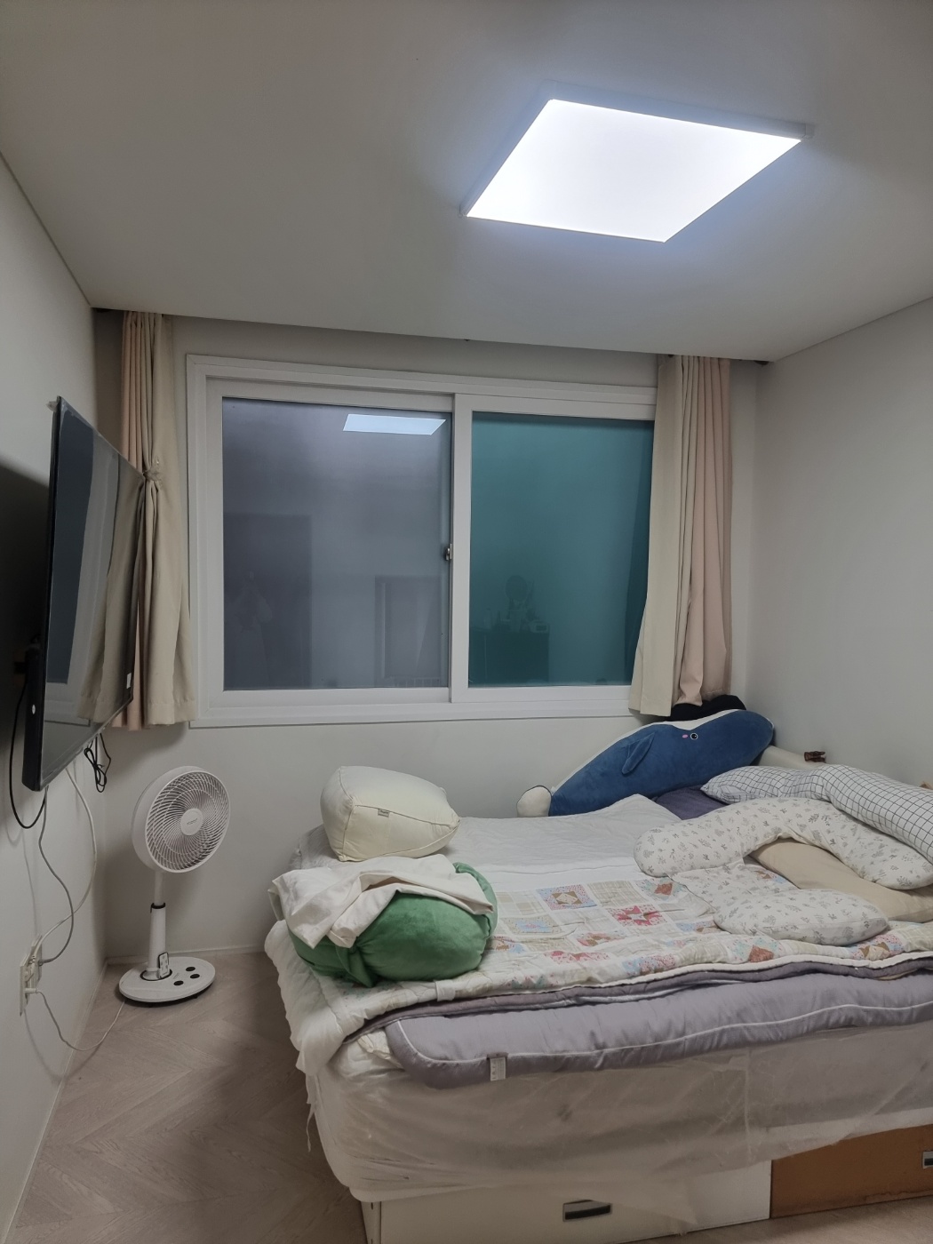 단독