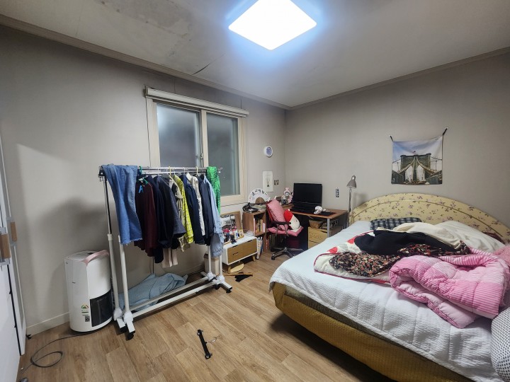 단독