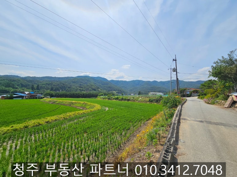토지/임야 - 답