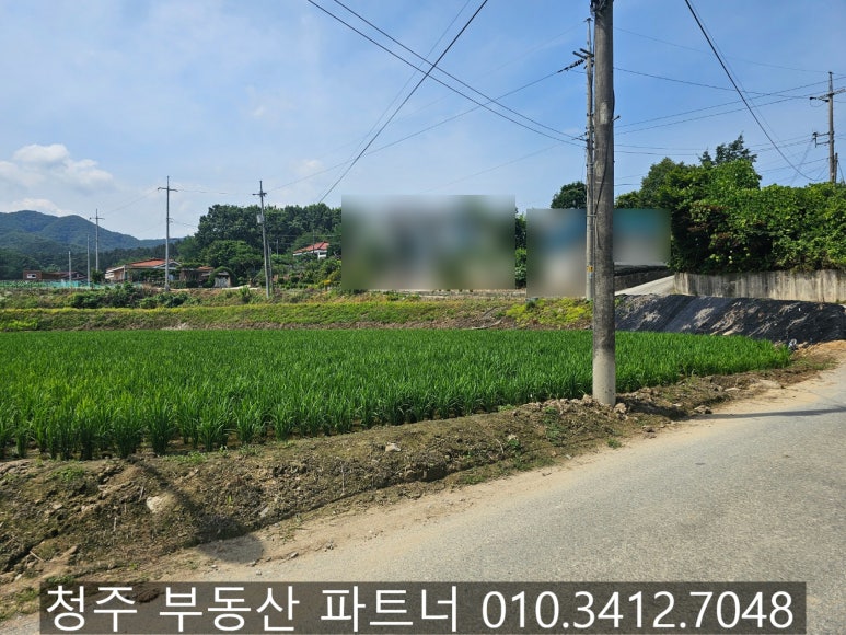 토지/임야 - 답