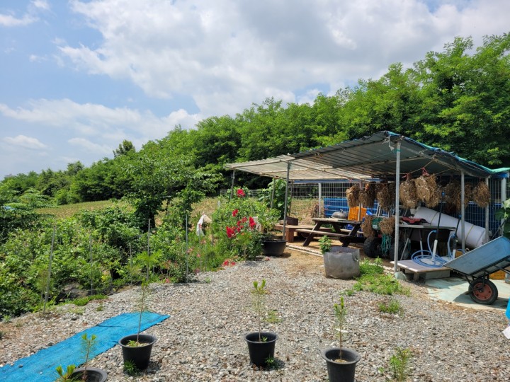 토지/임야 - 전