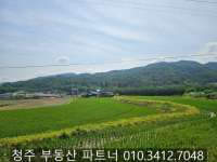 토지/임야 - 답