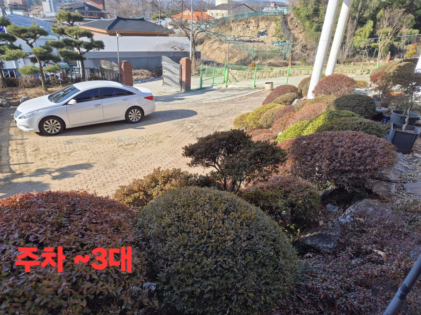 단독