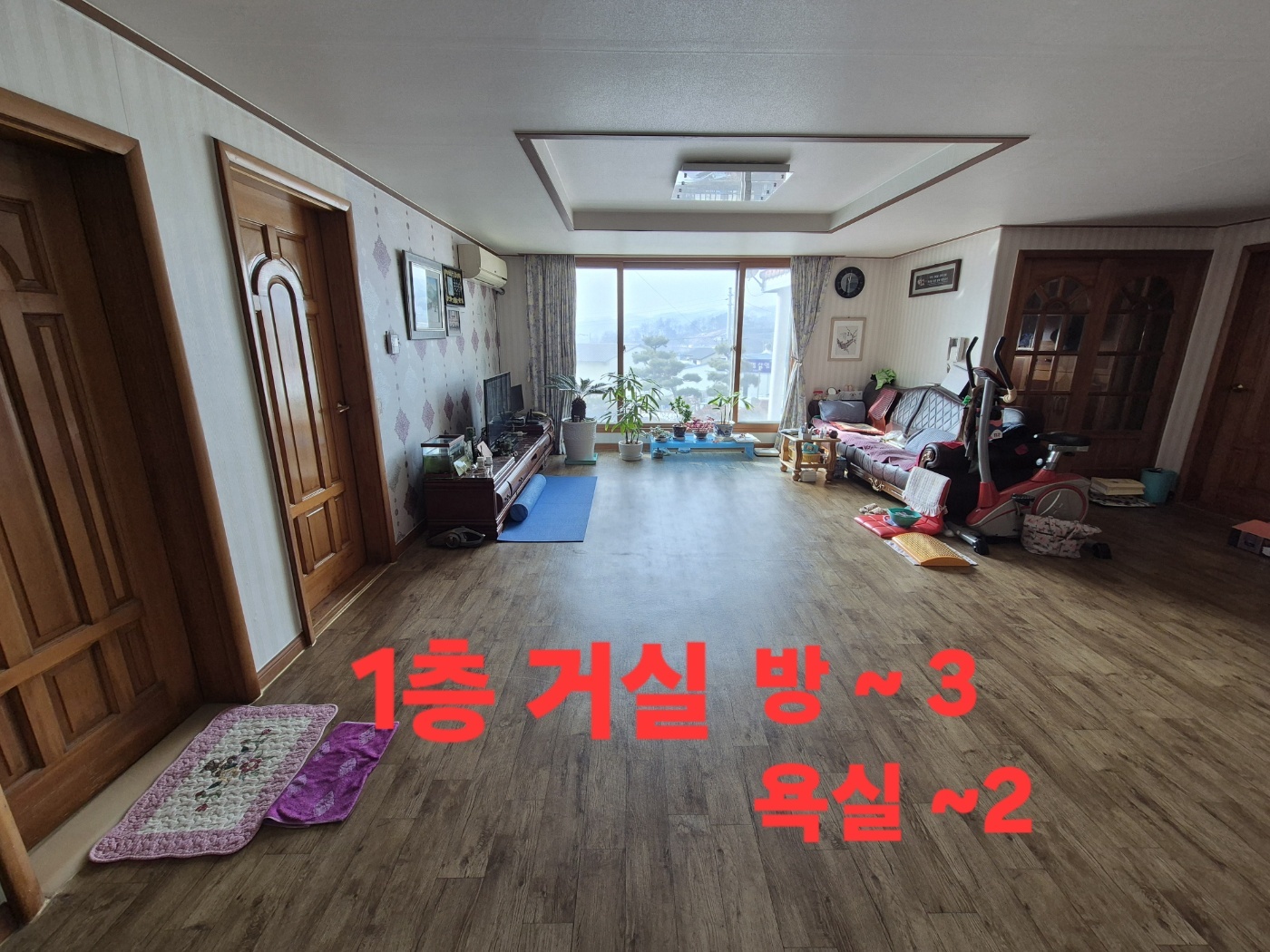 단독