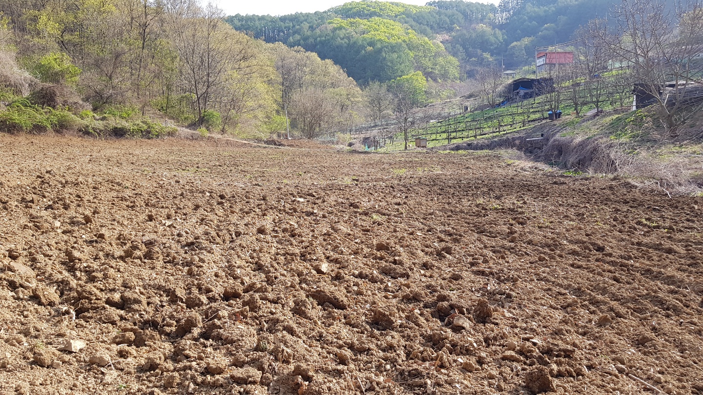 토지/임야 - 전