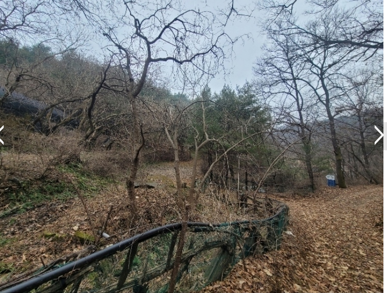 토지/임야